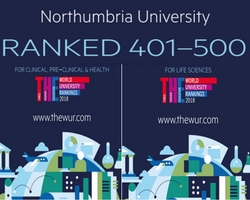 graphical user interface, diagram, website