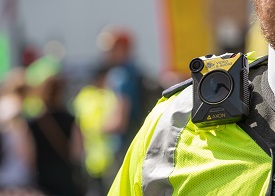 a close up of a person wearing a costume