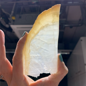 Thick section of stalagmite taken from a cave SA09. Photo credit: Dr Monika Markowska