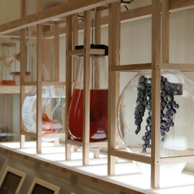 Materials on a shelf at the Living Assembly: Building with Biology exhibition
