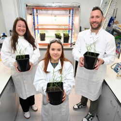 From l-r: Dr Angela Sherry, Dr Emma Riley, and Dr Ciaran Kelly, of Northumbria University
