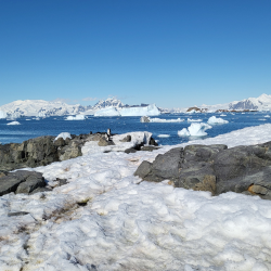 Views of Antarctica. Photo by Professor Andrew Shepherd, CPOM.