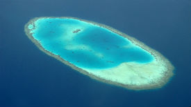 a blue and green reef