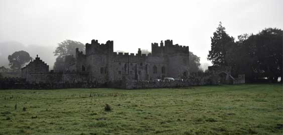 a castle on top of a lush green field