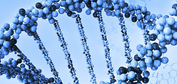 a close up of a necklace