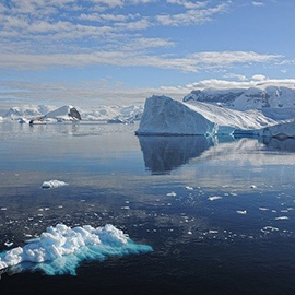 a bird flying over a snow covered mountain