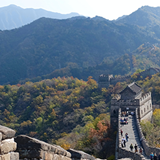 A photograph of The Great Wall of China with green forest surrounding it. 