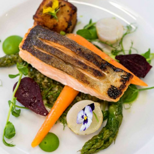 Plate salmon on a bed of colourful vegetables