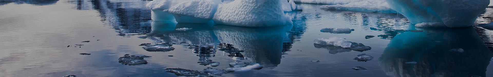 icebergs in the sea