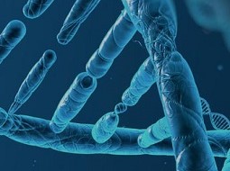 Sidebar image for Microbial Biotechnology