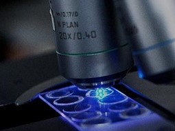 Sidebar image for Multiomics for Health