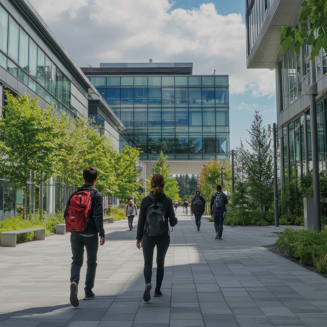 Accessibility on Campus