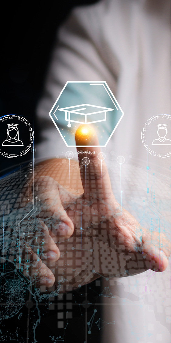 Explore your Options