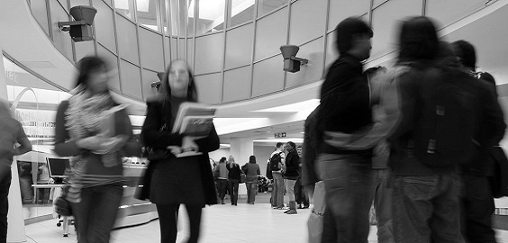 students milling around