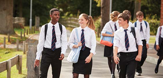 1 Programme Plans POD