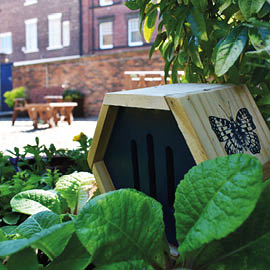 Butterfly House in Ellison Garden