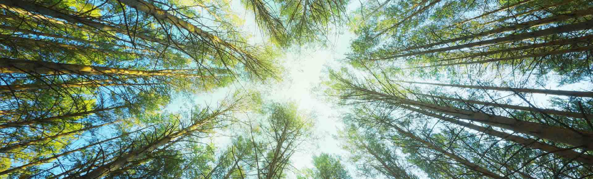 Geography Clearing Courses 2022 Northumbria University, Newcastle