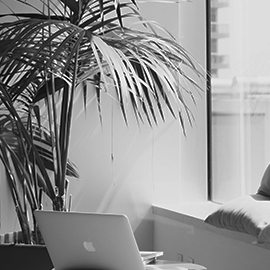 a laptop computer sitting on top of a table next to a palm tree