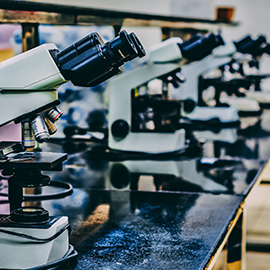 Sports Research Northumbria