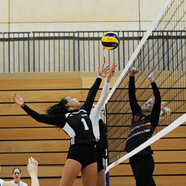 a group of people on a court