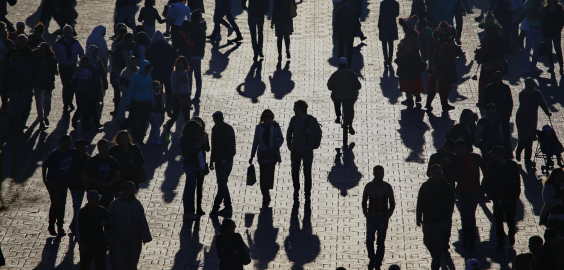 REVEAL SOCIAL SCIENCES POD 2