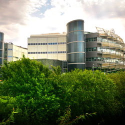 image of building with trees